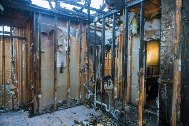 Professional Fire Damage Removal technician working in San Dimas, CA